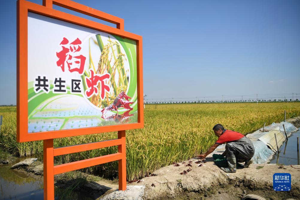 天易娱乐平